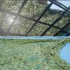 DIBAKO 10x10ft 13x20ft 16x20ft Camo Net Military Camouflage Netting, Bulk Roll Camouflage Net Military Surplus, Woodland Camo Mesh Netting for Hunting Blinds Shooting Hide Military Garden (Size : 4x6 view 3