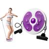 Ab Twist Waist Disc Board,Waist Twister for Women Belly Fat with Handles,Waist Slimming Balance Rotating Disc with Massage Foot Sole for Slimming Waist Arms Hips and Thighs (Purple) view 1