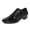 CsgrFagr Men's Modern Dance Shoes Low Heel Square Toe Dance Shoes Social Dance Shoes Tux Shoes Glitter (Black, 8.5) view 1