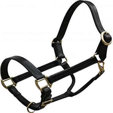 Mini Size Leather Halter w/Brass Hardware
