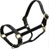 Mini Size Leather Halter w/Brass Hardware view 1