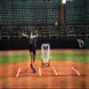 BP Strike Zone view 2