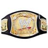 WELL PERFORM Spinner World Heavyweight Championship Title Belt Replica, Wrestling Championship Title Belt - Adult Size view 1