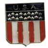 USA Shield Bike Motorcycle Hat Cap Lapel Pin HP4767 view 1