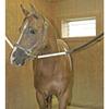 Dura-Tech No Chew Safety Stretch Cross Tie | Color Black | Innovative Horse Stable Accessory | No Chew Design | Stretch & Strength | Quick Release | Equestrian Must-Have view 2