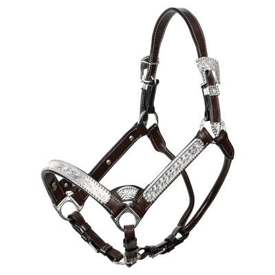 Double S Felicity Show Halter for Horses with Lead | Entry Level Showmanship Halter | Semi-Custom Fit |Ideal for First-Time Show Competitors | Color Dark Oil | Size Full Horse