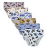 Family Feeling 6 Packs Big Boys' Cotton Assorted Brief Underwear Size 12 view 1