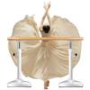Ballet Barre Heavy Duty Steel Ballet Rod with Suction Cup, A Solid Wood Handle with Adjustable Height, Suitable for Home Studios (Size : 2M/6.6FT) view 2