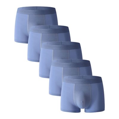 Maiyifu-GJ Men's Ice Silk Stretch Underwear Fast Drying Mesh Trunks Breathable Solid Colour Boxer Briefs (Blue 10 5PC,Large)