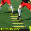 Teenitor Agility Ladder 21 Rung 29.5ft Speed Ladder Training Ladder for Soccer, Speed, Football Fitness Feet Training Carry Bag Agility Training Equipment, Sports Agility Ladders for Kids view 4
