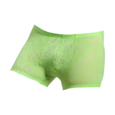 JEsilunmaMY Mens Lace Sheer Sexy Boxer Briefs Low Rise Moisture-Wicking Underwear Solid Color Lightweight Breathable Trunks (Green20-1PC,Small)