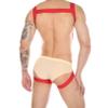ACSUSS Mens Harness Straps Underwear Sexy Bandage Lingerie Leg Garter Straps Cosplay Costumes Red G One Size view 4
