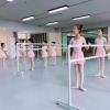 Industrial Steel Pipe Ballet Barre and Dance Floor for Home or Studio Dance Training, Stretching, Flexibility, Freestanding Ballet Stretch Dance Bar for Kids Adult (Size : 220x60x105cm) view 4