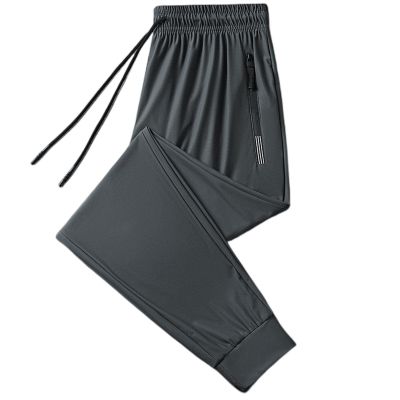 2023 New Unisex Ultra High Stretch Quick Dry Pants, Thin Ice Silk Breathable Sports Pants (as1, Alpha, 5X_l, Regular, Regular, Grey (Jogging Pants))