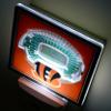 YouTheFan NFL Cincinnati Bengals StadiumView Nite Light view 3
