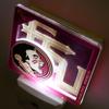 YouTheFan NCAA Florida State Seminoles Logo Series Nite Light view 3