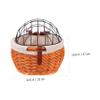 Anneome Sturdy Rattan Woven Basket for Pets Detachable Handlebar Basket for Dogs and Cats Ideal Commuting Lightweight and Stylish Design view 3