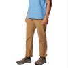Columbia Men's Landroamer Pant, Delta, 52 view 4