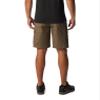 Columbia Men's Rapid Rivers Short, Stone Green, 42 view 2