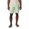 Columbia Men's Washed Out Short, Sage Leaf, 42 view 1