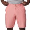 Columbia Men's Washed Out Short, Pink Agave, 52 view 4