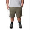 Columbia Men's Flex ROC Stretch Hiking Short, Stone Green, 52 x 8 view 1