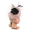 Beaupretty Garden Clip Veil Plume Ladies Dress Headdress Head Wedding Mesh Flapper Hat Womens Party Women Feathered Vintage Bridal Cocktail Accessory Headband Hair Hats Fascinator Headwear Nude Pink view 2