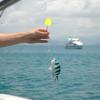 BESPORTBLE Professional Set Fishing Tackle Stops Pompano Rig for Surf Fishing Float view 3