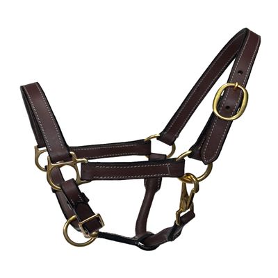 Equitem Foal Size Leather Halter with Brass Hardware (Brown)