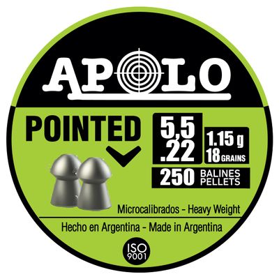 Apolo Pointed Airgun Pellets, 5.5mm, 22 Caliber, E19601,Silver