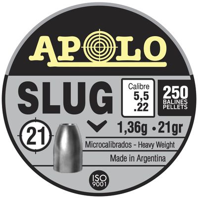 Apolo Slug Airgun Pellets, 5.5mm.22 Caliber, 21 Grains, E19300,Silver