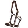 Joseph Sterling Dorchester Padded Leather Halter for Horses | Masterful Craftsmanship | Extra Comfort with Padded Nose and Poll | Ideal for Show and Stable | Adjustable Fit | Size Cob view 1