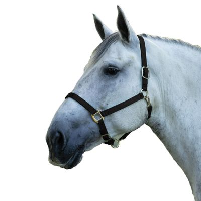 Dura-Tech Draft Horse Nylon Halter | Durable Double-Ply Construction | Adjustable Fit with Throat Snap | Brass-Plated Hardware | Color Black