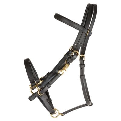 Dura-Tech All Weather Trail Halter for Horses/Bridle Combo | Color Black | Versatile Horse Riding Essential | All-Weather Endurance | Effortless Conversion