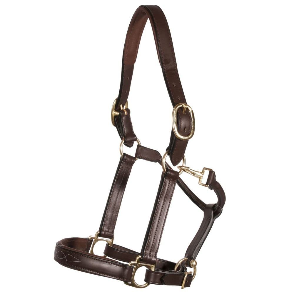 Joseph Sterling Dorchester Padded Leather Halter for Horses | Masterful Craftsmanship | Extra Comfort with Padded Nose and Poll | Ideal for Show and Stable | Adjustable Fit | Size Thoroughbred