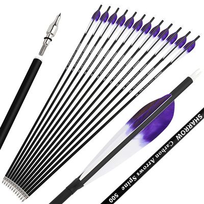 28/30/31 Inch Archery Carbon Arrows Spine 500 Hunting Target Practice Carbon Arrows with 100 Grain Replaceable Tips and 5" Real Feather for Compound & Recurve & Traditional Bow (Purple, 31 inch/12pcs)