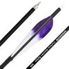 28/30/31 Inch Archery Carbon Arrows Spine 500 Hunting Target Practice Carbon Arrows with 100 Grain Replaceable Tips and 5" Real Feather for Compound & Recurve & Traditional Bow (Purple, 31 inch/12pcs) view 4