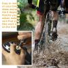 Therwen 4 Pcs Bike Cleats Bicycle Cleats Cycling Cleats with 2 Hexagonal Wrenches for MTB Shoes Compatible with Eggbeater Candy Mallet Smarty Pedals view 4