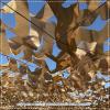 DZHTUF Reinforced camo Netting,pergola Brown Shade net,Army Outdoor camo net,2x3M,2X5M,4X6M,3X3M,6X10M,Camouflage Netting with Rope Loop,WH-23m(79 * 118in) view 3