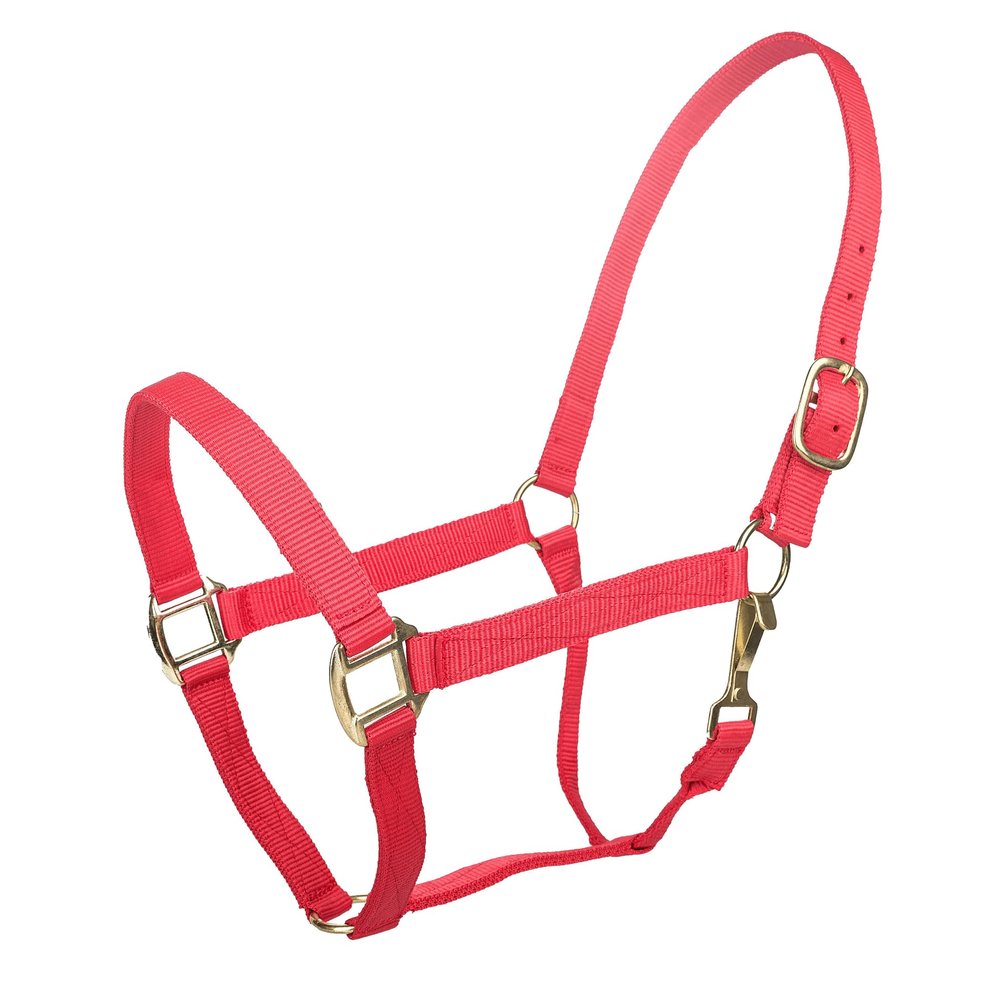 Tabelo Nylon Halter w/Snap Cob Red