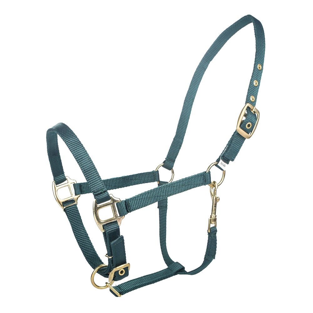 Tabelo Arab Nylon Halter w/Snap Arab Hunter