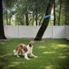 Bluewater Dog Frisbee - Waterproof, Floating, Lightweight, Aerodynamic Disc for Dogs Puppy - Summer Bundle (3 Pack - Yellow, White, and Ocean Blue) view 2