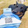Bluewater Dog Frisbee - Waterproof, Floating, Lightweight, Aerodynamic Disc for Dogs Puppy - Summer Bundle (3 Pack - Yellow, White, and Ocean Blue) view 4