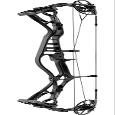 Sanlida 2024 Dragon 10 Flagship Top of The Line Hunting Compound Bow for Adults and Advanced Archers, IBO Speed 340 FPS, Limited Life-time Warranty 27"-30" Draw Length, 60-70lbs Draw Weight, Black