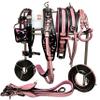 AMAZING HORSE STUFF Designer Black & Pink Leather Carved Driving Harness for Single Horse Cart | Fitted with Stainless Steel Fittings and Buckles | Full, Cob, Pony, Shetland & Mini | (Cob) view 1