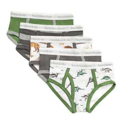 Burt's Bees Baby Toddler Boys' Underwear, Organic Cotton, Tag-Free Comfort Briefs, Pack of 5