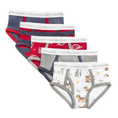 Burt's Bees Baby Boys' Underwear Set - Breathable 100% Organic Cotton Undies - Solids, Stripes and Prints Designs, Pack of 5 Tag-Free Comfort Briefs with Sizes for Toddler Boys 2T to 8 Years Old