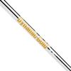 True Temper Dynamic Gold 105 R300 Regular Flex Iron Shaft - .370 Parallel Tip view 1