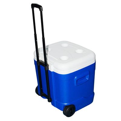 ASSYA 21 Quart Ice Cooler with Wheels Outdoor Portable Insulated Ice Chest Box Rotomolded Hard Cooler for Beach, Camping, Picnic, Fishing, Barbecue