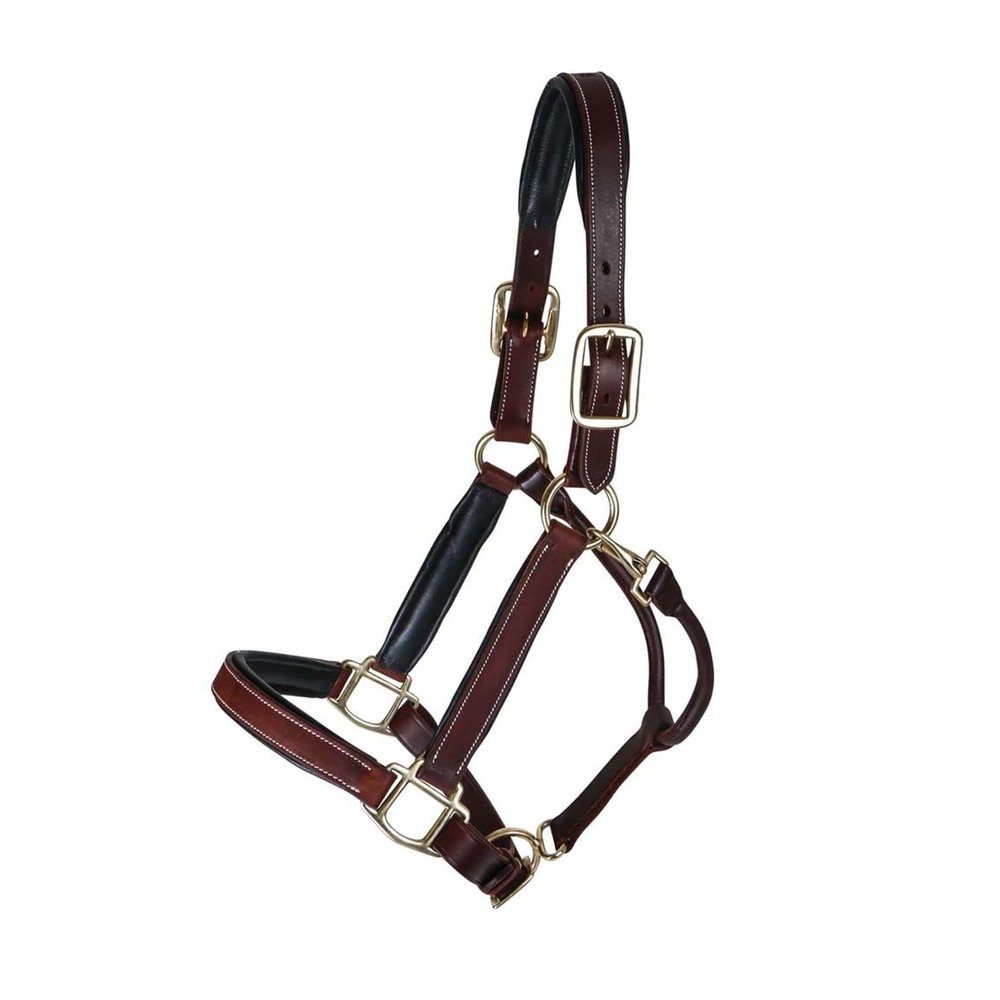 Billy Royal Saratoga Padded Leather Halter for Horses | Grade A Hand-Rubbed Leather | Padded Comfort Design | Adjustable Fit | Brass Hardware for Everyday Use | Size Full Size
